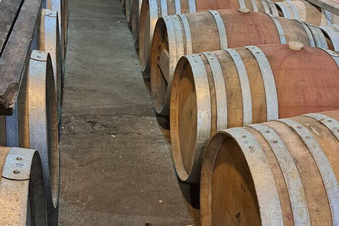 Wine Tasting Tour in Napier Region - Who Would Love This Tour?