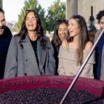 Wine Tour From Canberra to Murrumbateman - Hop on Hop Off - In-Depth Look at the Itinerary