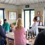 Wine Tour & Maori Culture Wanaka - Who Is This Tour Best For?
