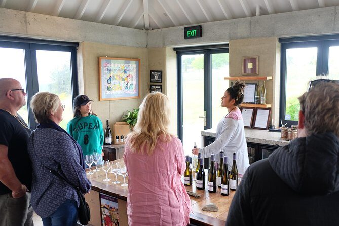 Wine Tour & Maori Culture Wanaka - Who Is This Tour Best For?