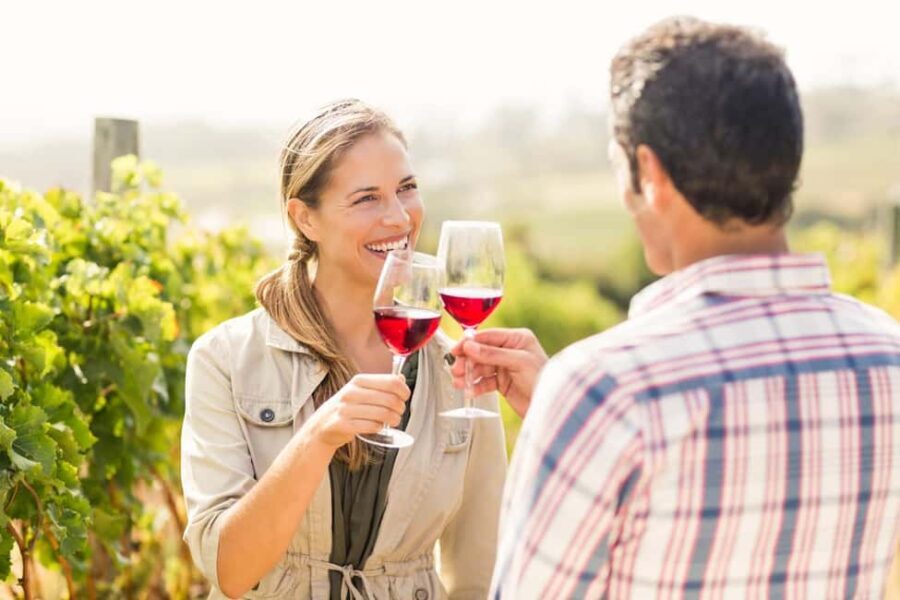 Wineland wonders: Cape Towns exquisite journey - Who Is This Tour Best For?