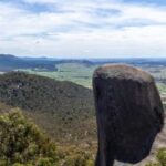 Wings & Wilds of Canberra Tidbinbilla Half-Day Private Tour - An In-Depth Look at the Itinerary