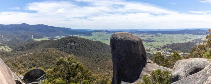 Wings & Wilds of Canberra Tidbinbilla Half-Day Private Tour - An In-Depth Look at the Itinerary