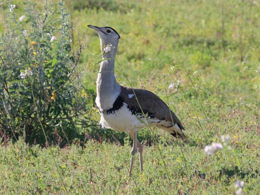 Winton: Bladensburg National Park Half Day Tour - What’s the Value?