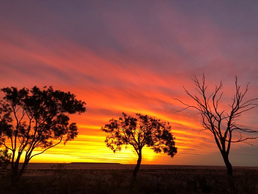 Winton: Rangelands Rifts & Sunset Tour - Why This Tour Matters for Your Winton Trip