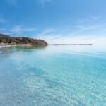 Wirrina Cove: Coastal Sightseeing Boat Tour with Seal Colony - What Makes This Tour Special?