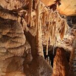 Wombeyan Caves: Kooringa Cave Guided Tour - An In-Depth Look at the Kooringa Cave Guided Tour