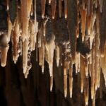 Wombeyan Caves: Mulwaree Cave tour - Exploring Wombeyan’s Hidden Gem: The Mulwaree Cave Tour