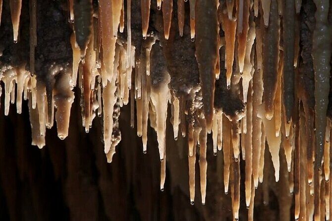 Wombeyan Caves: Mulwaree Cave tour - Exploring Wombeyan’s Hidden Gem: The Mulwaree Cave Tour