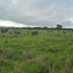 Wonderful 3 Day Safari From Zanzibar to Mikumi National Park - Day 1: From Zanzibar to Mikumi with a Maasai Welcome
