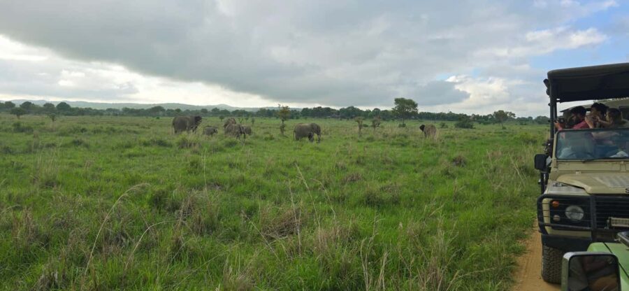Wonderful 3 Day Safari From Zanzibar to Mikumi National Park - Day 1: From Zanzibar to Mikumi with a Maasai Welcome