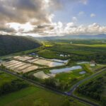 Wonga: Daintree Saltwater Farm Tour - What to Expect During the Tour