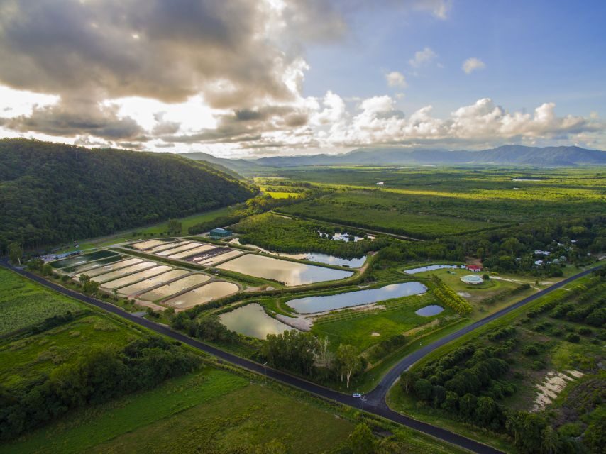 Wonga: Daintree Saltwater Farm Tour - What to Expect During the Tour