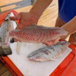 Wonga: Guided Fishing, Farming and Tasting Tour - Exploring the Itinerary in Detail