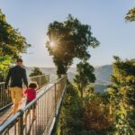 Wooroonooran National Park: Mamu Tropical Skywalk Admission - Exploring the Itinerary and Key Features