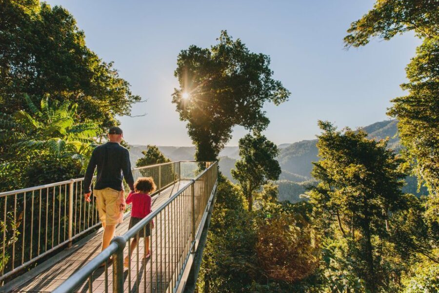 Wooroonooran National Park: Mamu Tropical Skywalk Admission - Exploring the Itinerary and Key Features