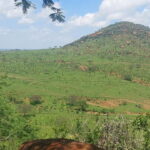 World war 1 Battlefield Tourism Experience in Kenya - An In-Depth Look at the Kenya WWI Battlefield Experience