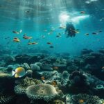 Yanbu: Beach Diving Experience with Instructor - FAQ