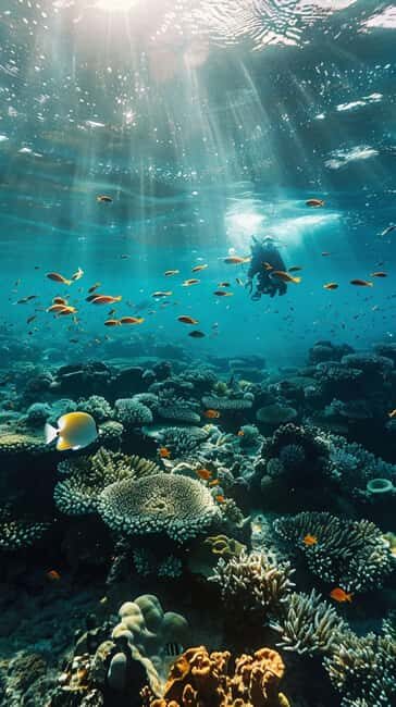 Yanbu: Beach Diving Experience with Instructor - FAQ