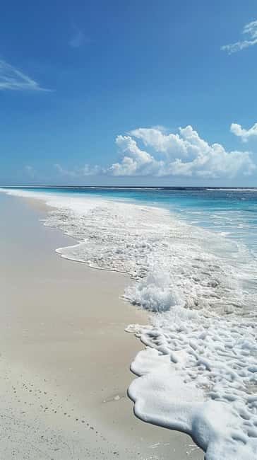 Yanbu: Buraydi Island Boat Tour - The Value: Is It Worth the Price?
