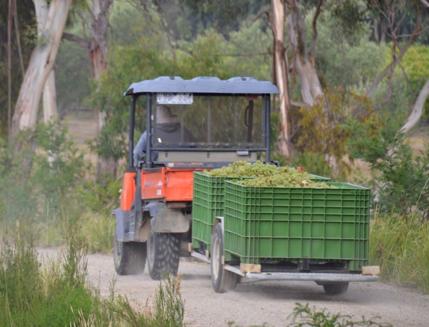 Yarra Valley and Dandenong Ranges: Scenic Bus Tour and Lunch - The Guided Experience: Why It Matters