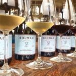 Yarra Valley Winery Half-Day Tour from Melbourne  Afternoon - The Value of This Tour