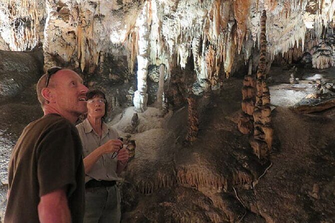 Yarrangobilly Caves: Jersey Cave Guided Tour - Discovering Jersey Cave: A Guided Tour in Yarrangobilly