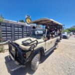 Yzerfontein: Safari at West Coast Private Game Reserve - Wildlife Watching: What Youll Likely See