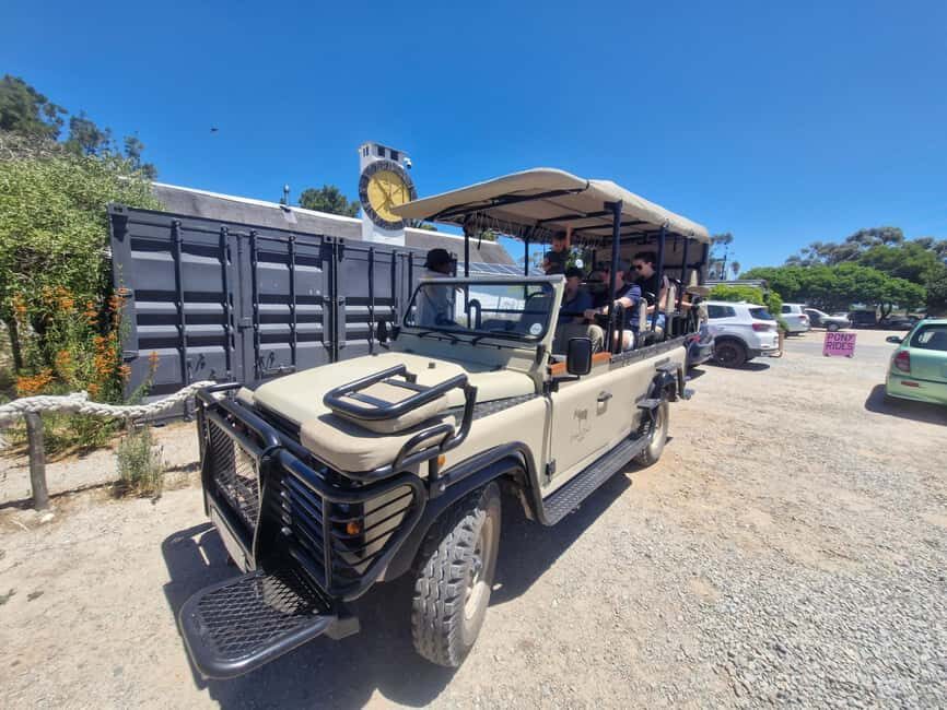 Yzerfontein: Safari at West Coast Private Game Reserve - Wildlife Watching: What Youll Likely See