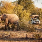 Zambezi 3hr Game Drive - The Sum Up