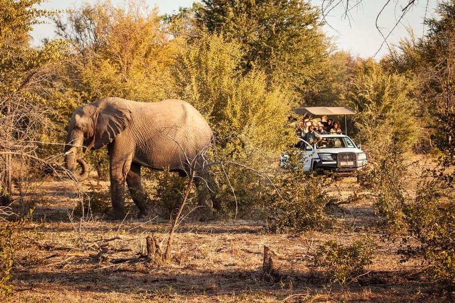 Zambezi 3hr Game Drive - The Sum Up