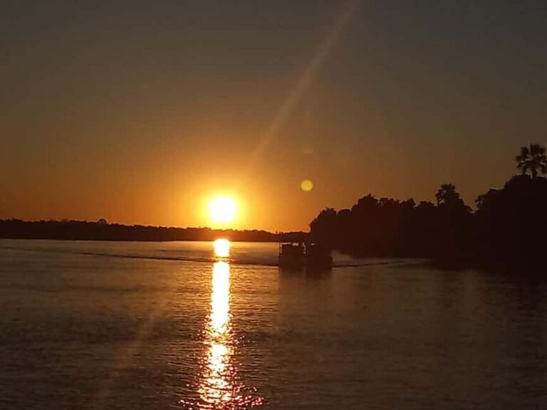 Zambezi Sunset Boat Cruise - What to Expect During Your Cruise