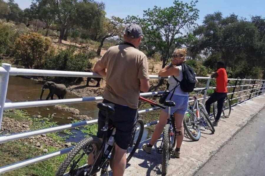 Zambia : Victoria Falls : Nature Bike Tour - Exploring the Victoria Falls Nature Bike Tour