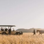 Zannier Game Drive with Hotel Pickup - Practical Tips for Your Game Drive
