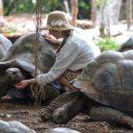 Zanzibar: 1 Day Nakupenda,Prison Island,Jozani Guided Tour - Why This Tour Offers Great Value