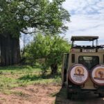 Zanzibar: 2-Day Mikumi National Park Safari - What’s Included: The Value of a Hassle-Free Trip