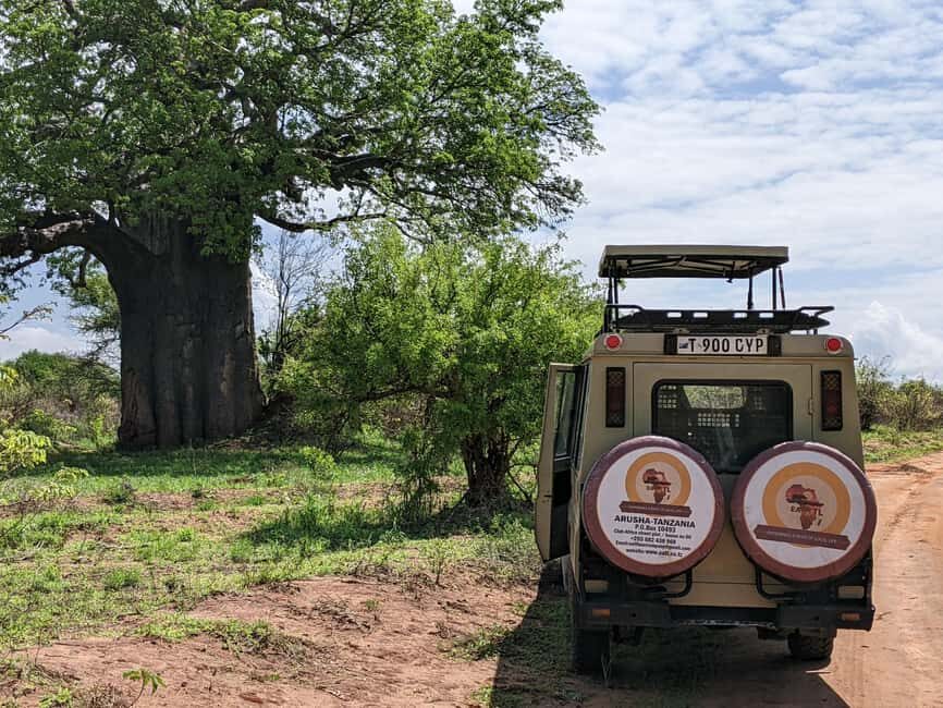 Zanzibar: 2-Day Mikumi National Park Safari - What’s Included: The Value of a Hassle-Free Trip
