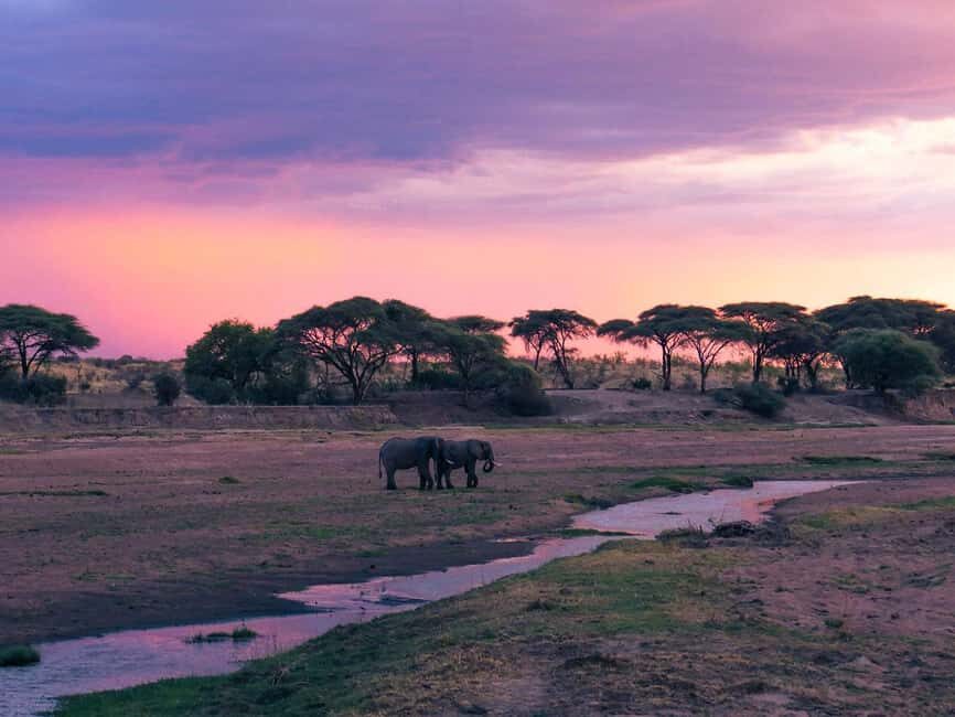 Zanzibar: 2-Day Safari to Tarangire National Park - Practical Information & Tips