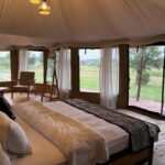 Zanzibar: 3-Day A Quick Fly-in Safari to Serengeti - Transportation & Comfort