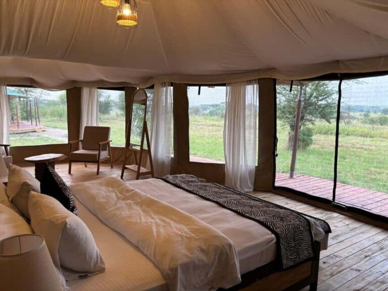 Zanzibar: 3-Day A Quick Fly-in Safari to Serengeti - Transportation & Comfort