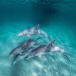 Zanzibar: 3-Day Tour with Snorkeling Adventure with Lunch - Authentic Guest Experiences