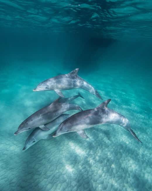 Zanzibar: 3-Day Tour with Snorkeling Adventure with Lunch - Authentic Guest Experiences