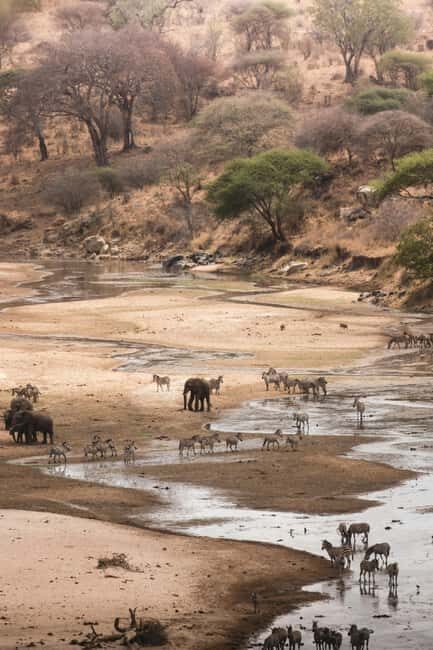 Zanzibar: 4-Day Tarangire, Serengeti & Ngorongoro Safari - An In-Depth Look at the 4-Day Tanzania Safari Experience