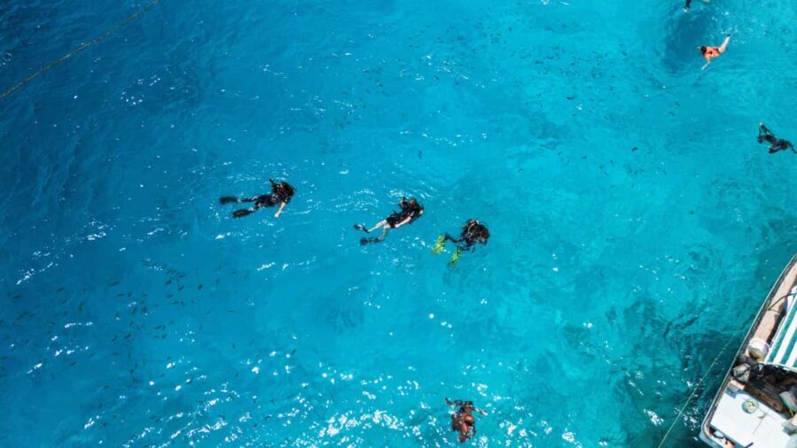 Zanzibar 5 Days Scuba Diving ten dive: blue trip experience - Day 1: Starting at Matemwe