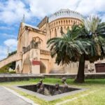 Zanzibar: 5-Days with Dolphin tour and Safari Blue - Practical Details and Tips