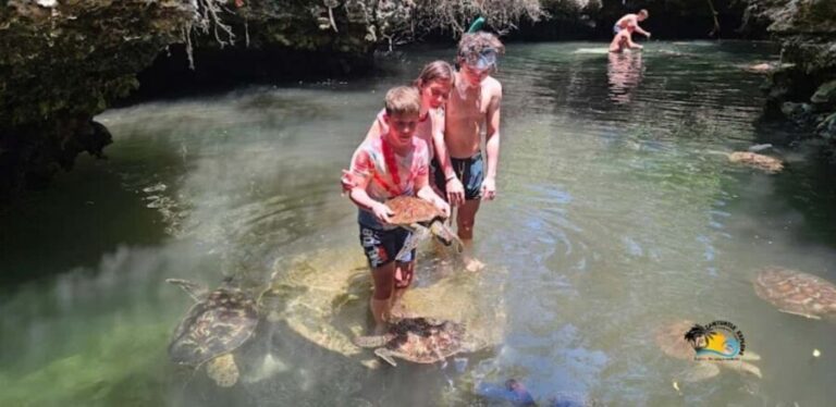 Zanzibar: Baraka Aquarium Feed, Swim & Snorkel with Turtles - Authentic Encounters: What Travelers Say