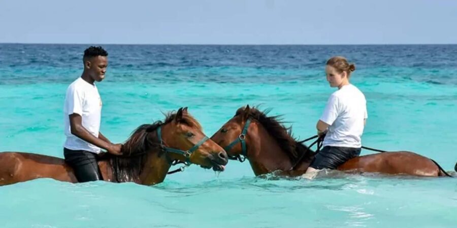 Zanzibar: Beach Horseback Ride and Swim with the Horse - The Value and Practicalities