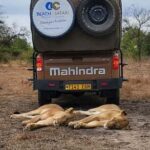 Zanzibar: Best Selous Day Safari with Flights & Lunch - Introduction: Why This Safari Stands Out