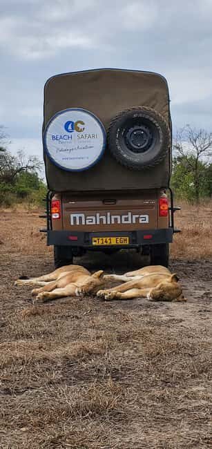 Zanzibar: Best Selous Day Safari with Flights & Lunch - Introduction: Why This Safari Stands Out
