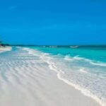 Zanzibar: Bihole Ruins, Bungi Beach, and Mango Trees Tour - Who Is This Tour Best For?